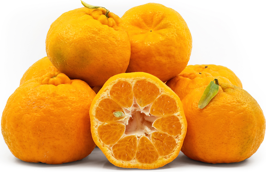 Ugli Fruit