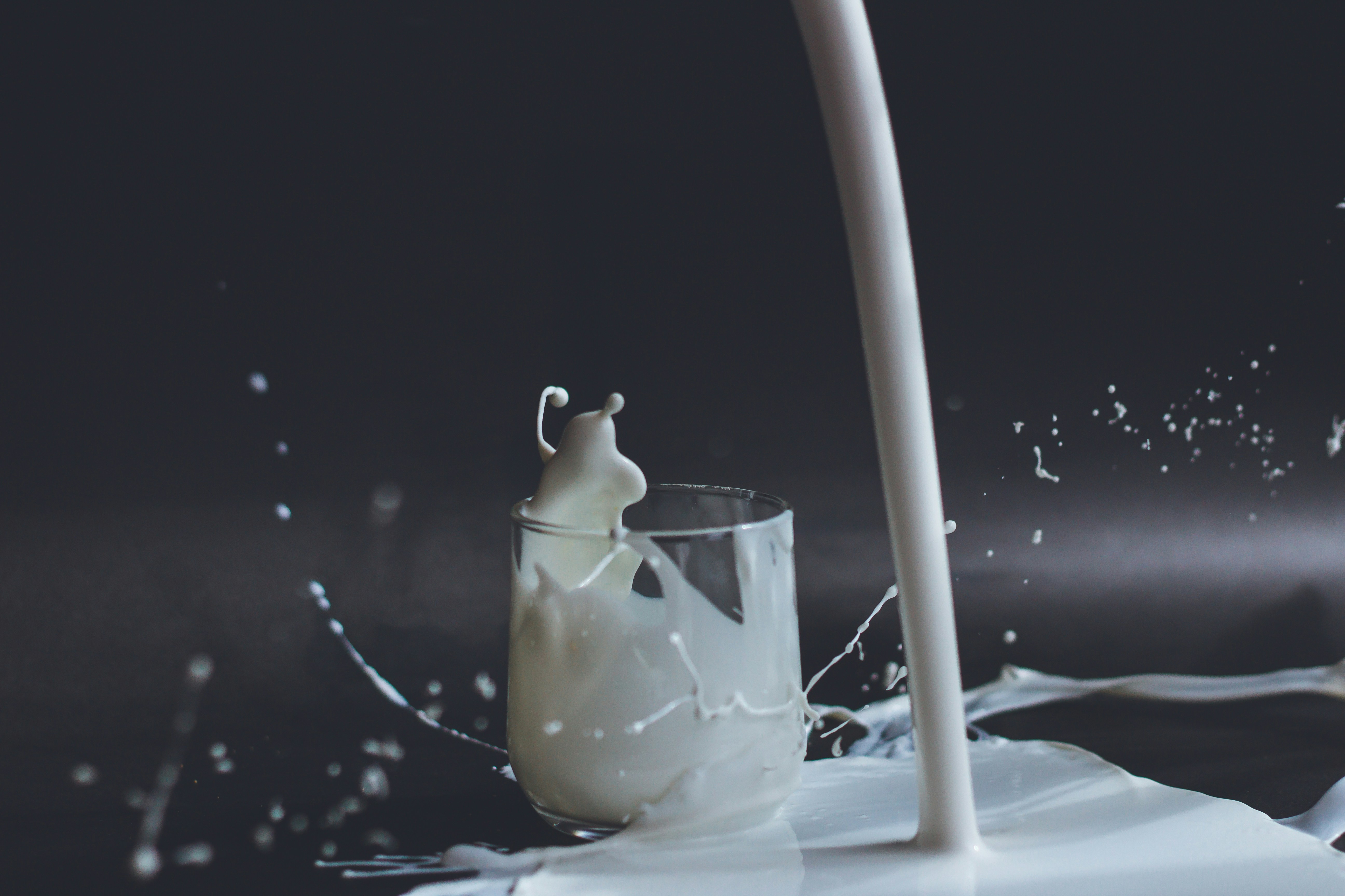 Dairy and Alternatives