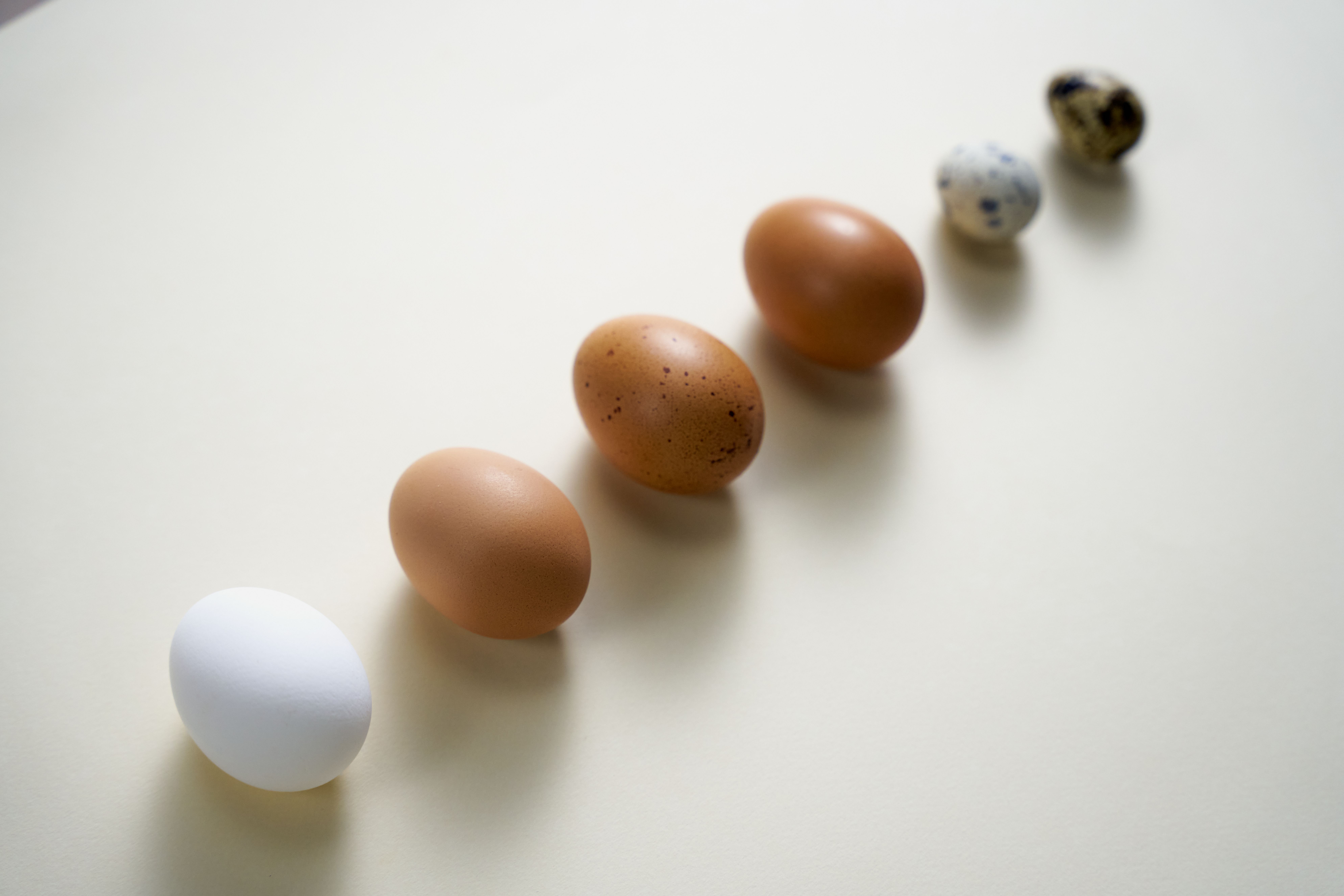 Eggs